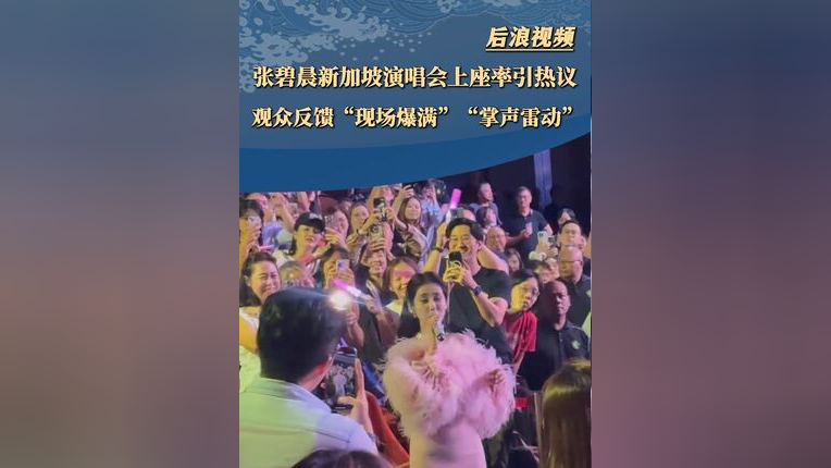 爱游戏2025必玩德布劳内重要时刻重要助攻，塞尔维亚队带队取胜！观众掌声雷动的简单介绍