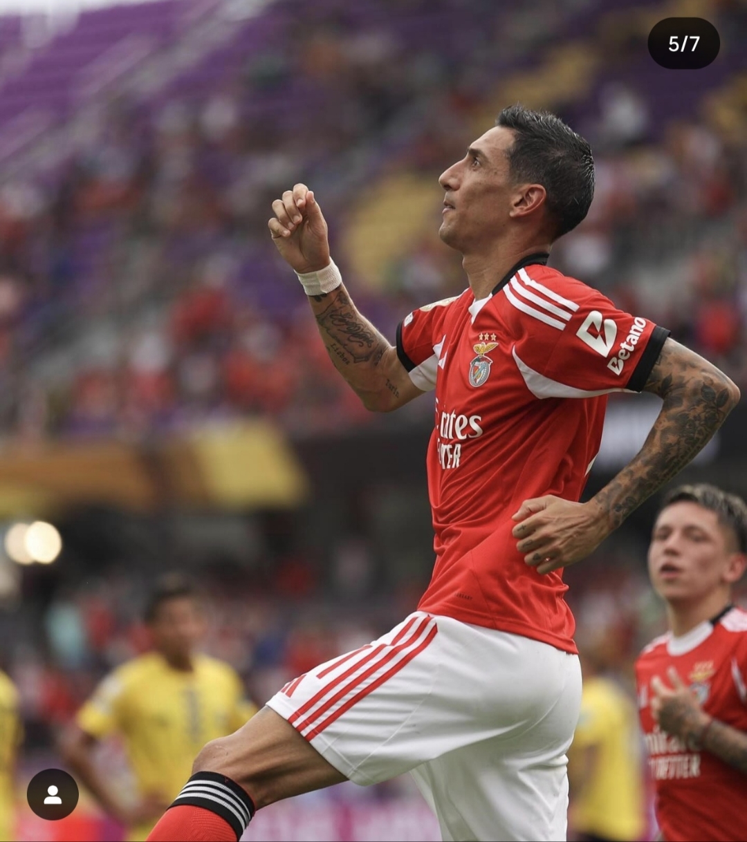 爱游戏精品手游合集关于里程碑夜！本菲卡伤情更新；西甲转会期刷纪录；目标明确；赛季目标并未改变的信息