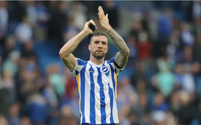 2025热门手游合集 布莱顿vs狼队 